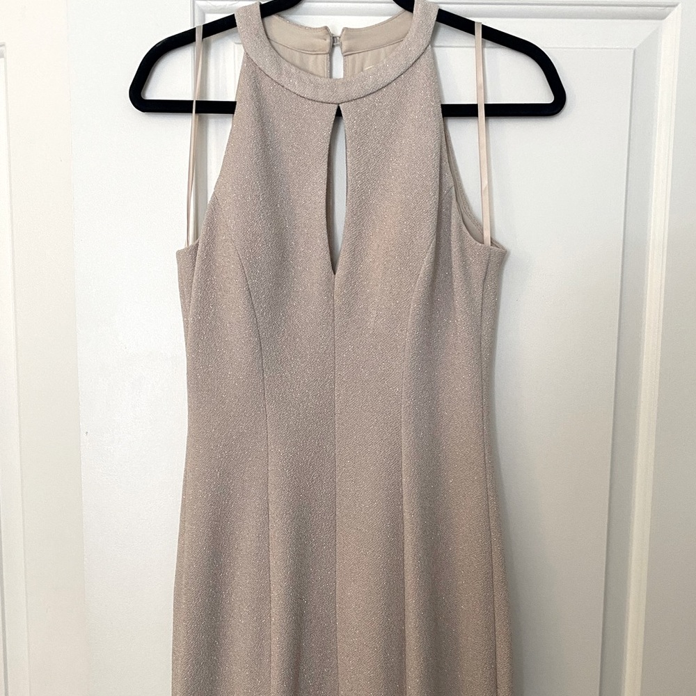 Formal nude glitter dress